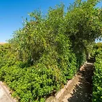 Cozy Flat Just Steps From Baia Delle Mimose *