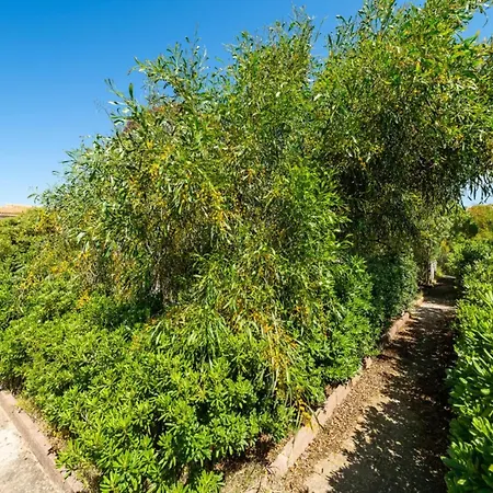 Cozy Flat Just Steps From Baia Delle Mimose *